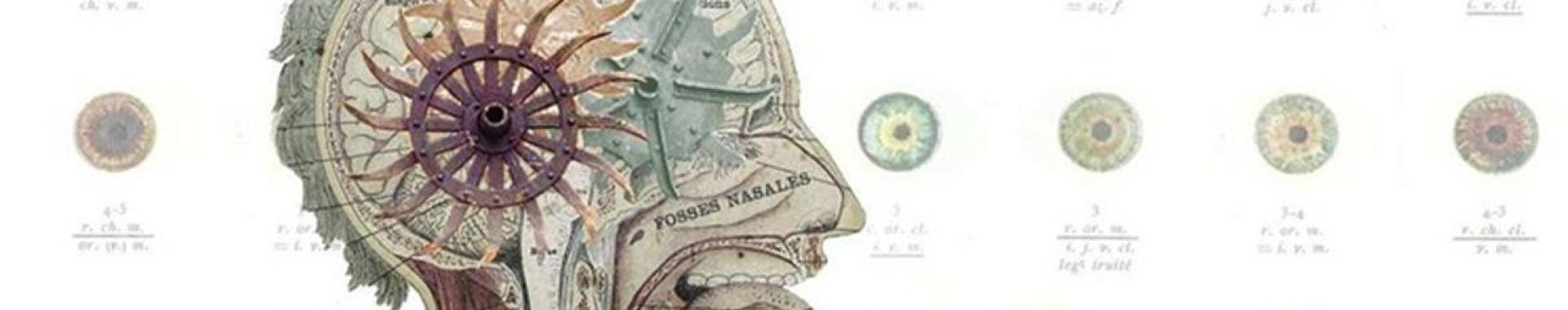 Illustration of human head split in half to show gears used for the brain. 