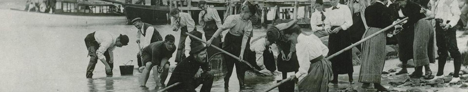 Faculty and students in the 1895 Botany course at the Marine Biological Laboratory in Woods Hole, MA. Participants collecting specimens.